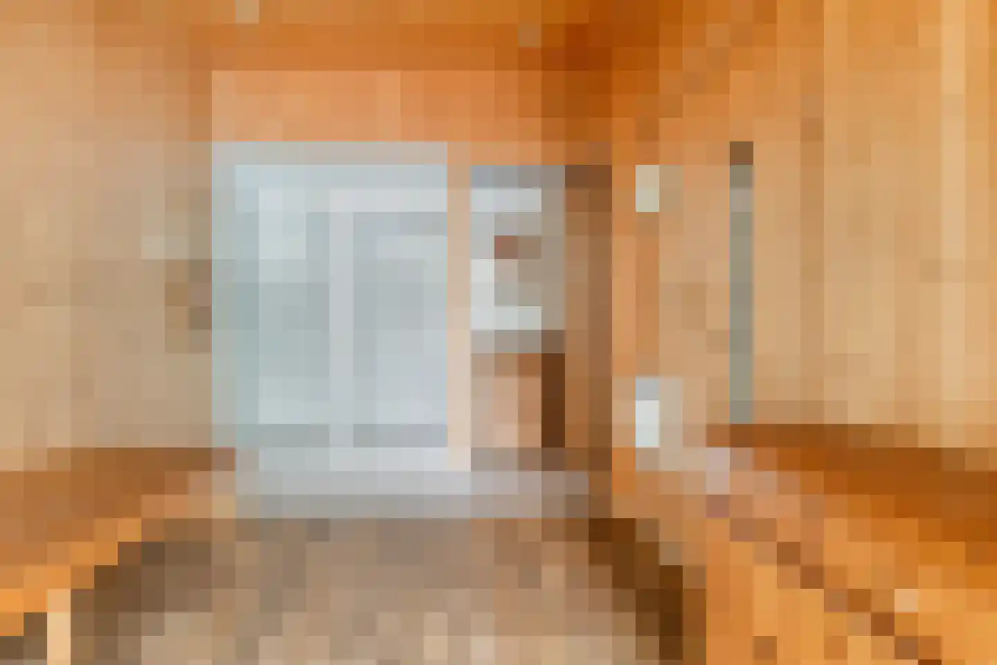 Rapenburg 1 a Vogelwaarde thumbnail 21
