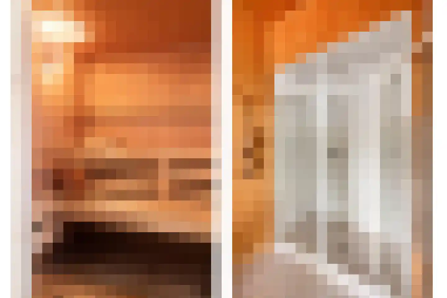 Rapenburg 1 a Vogelwaarde thumbnail 22