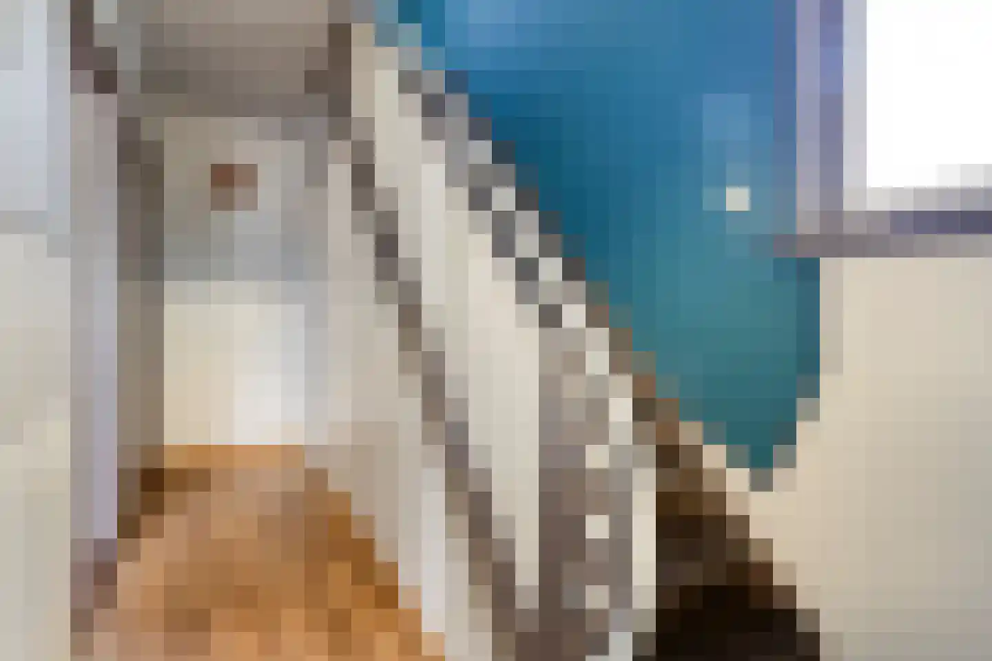 Rapenburg 1 a Vogelwaarde thumbnail 25