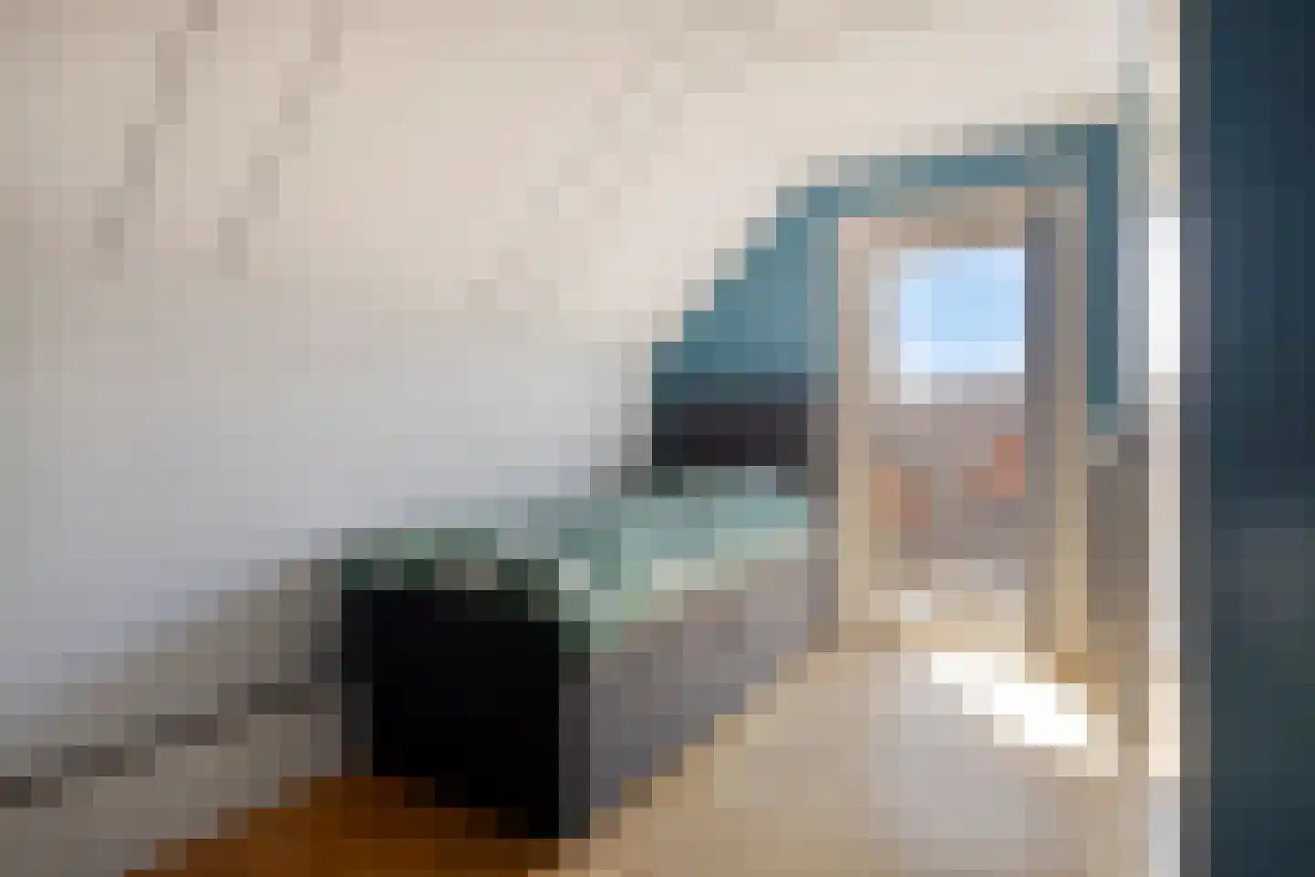 Rapenburg 1 a Vogelwaarde thumbnail 28