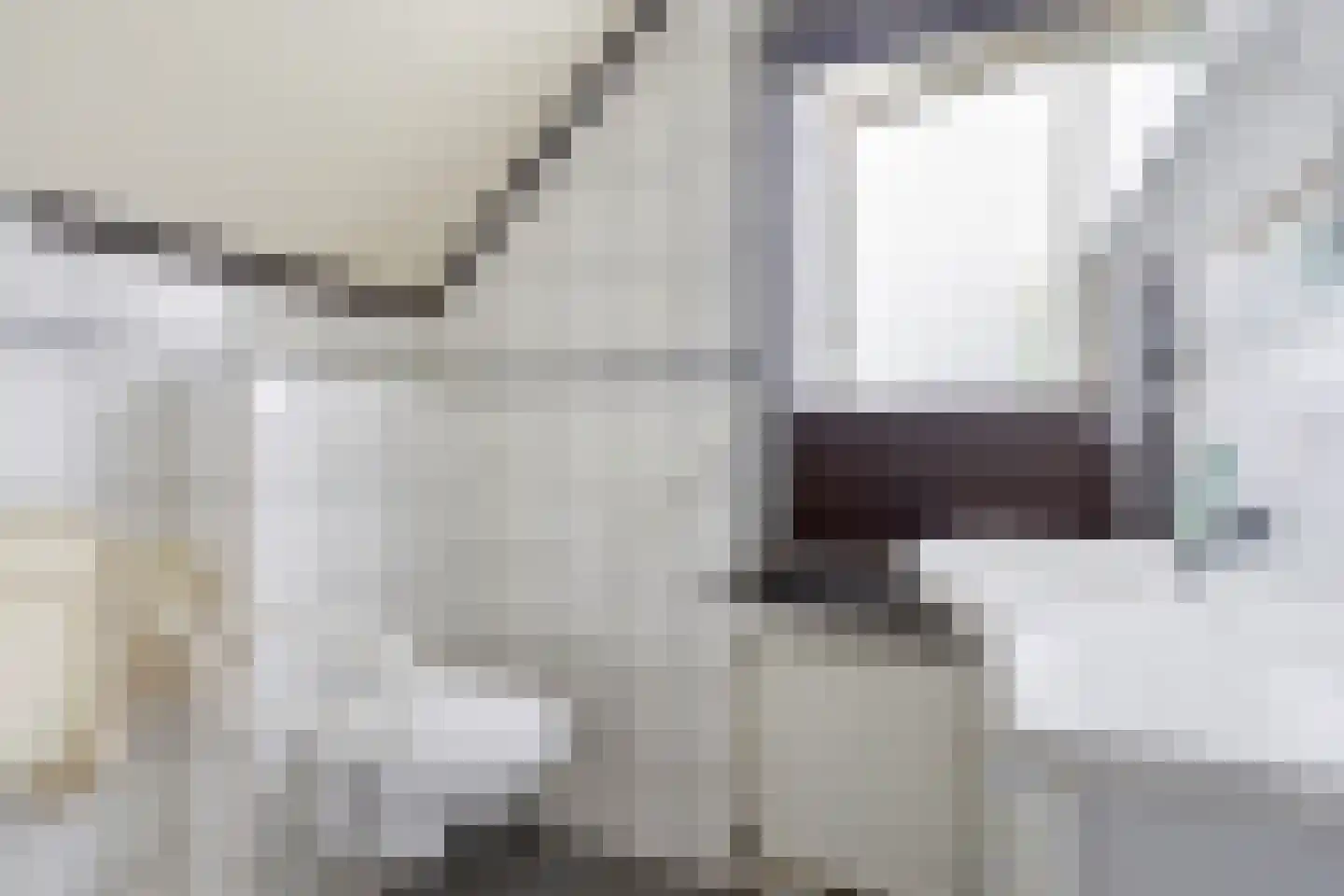 Rapenburg 1 a Vogelwaarde thumbnail 29