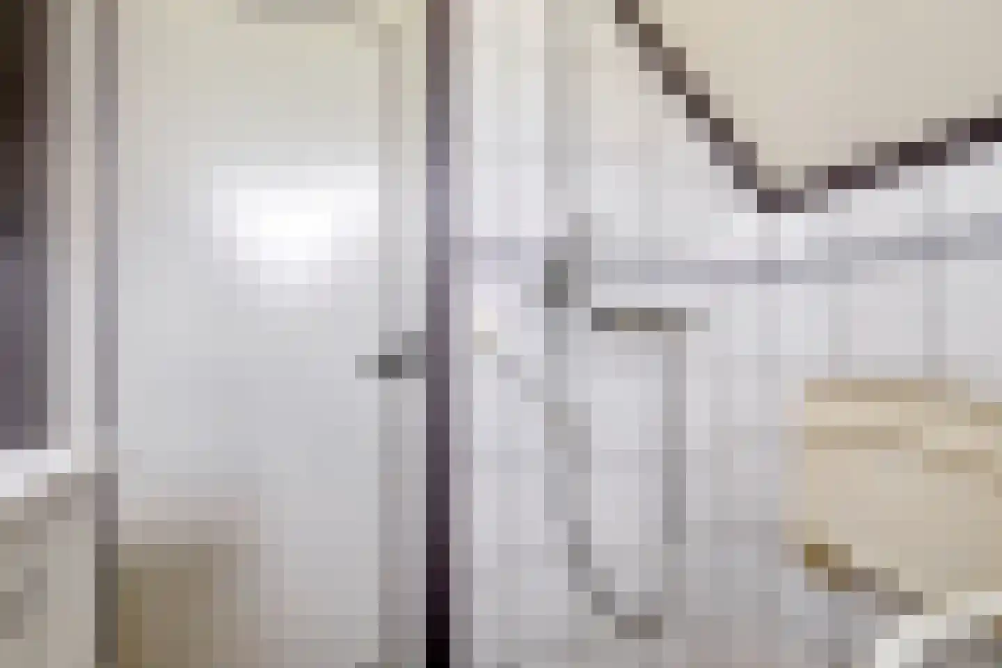 Rapenburg 1 a Vogelwaarde thumbnail 30