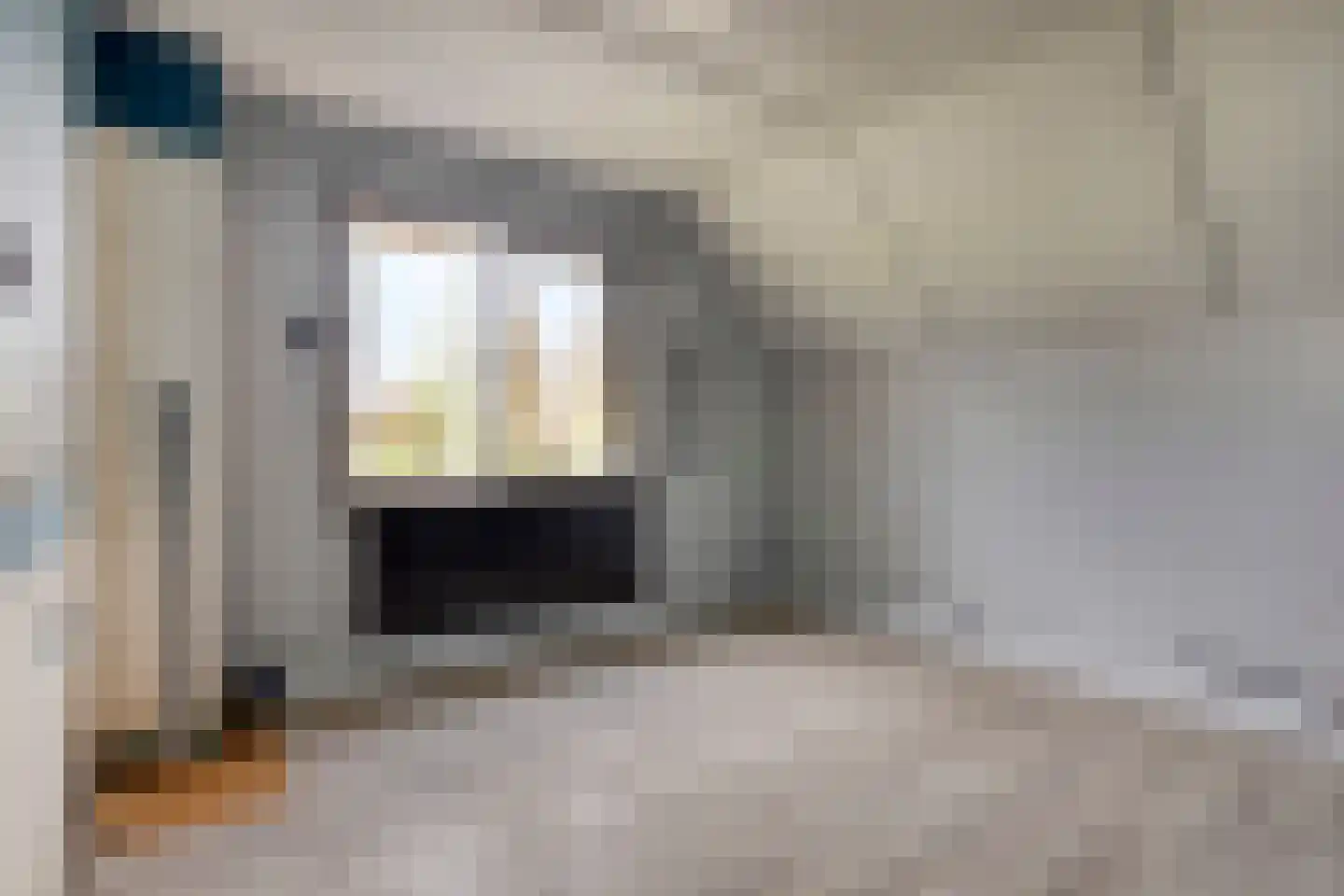 Rapenburg 1 a Vogelwaarde thumbnail 31