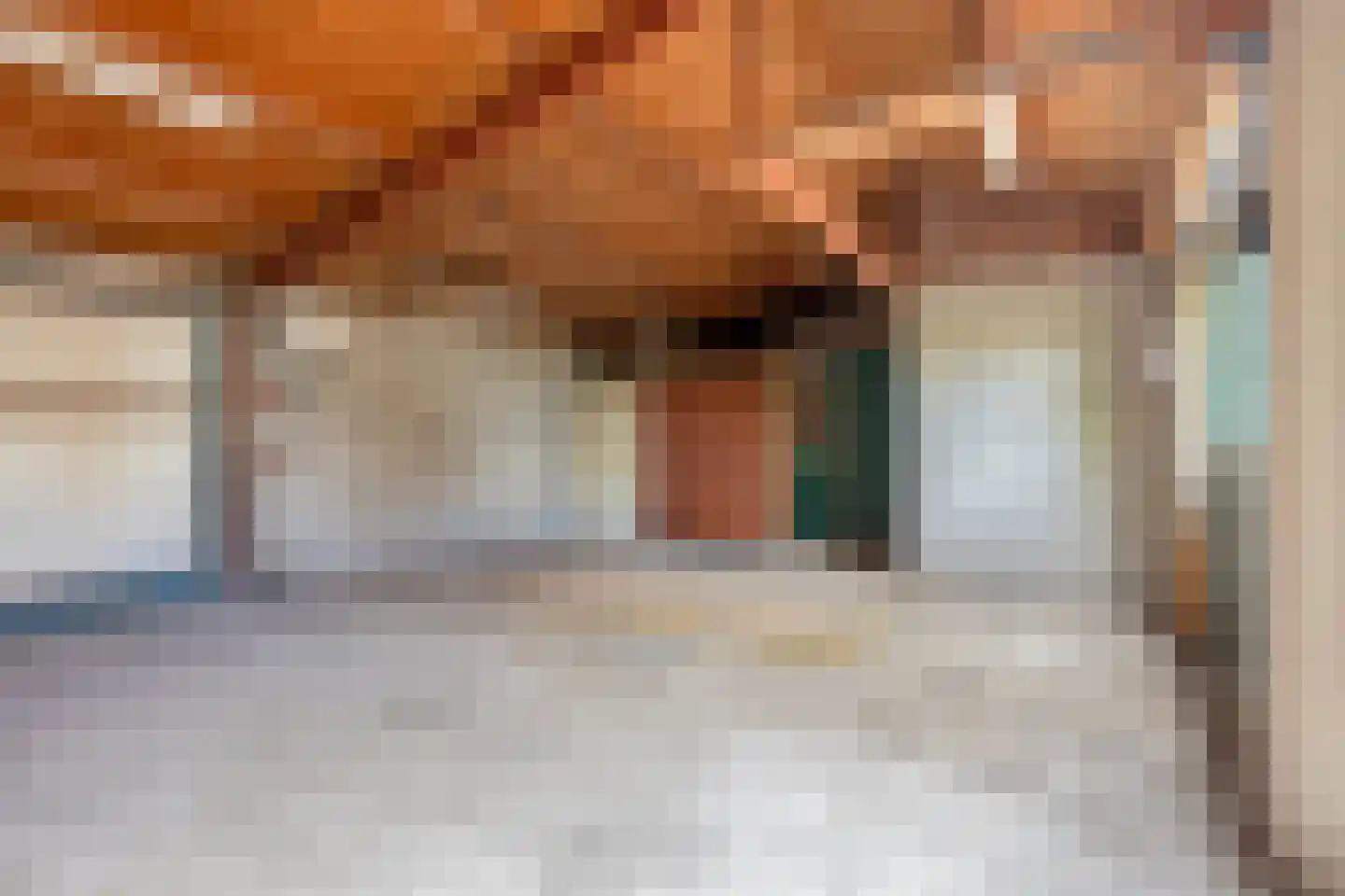Rapenburg 1 a Vogelwaarde thumbnail 32