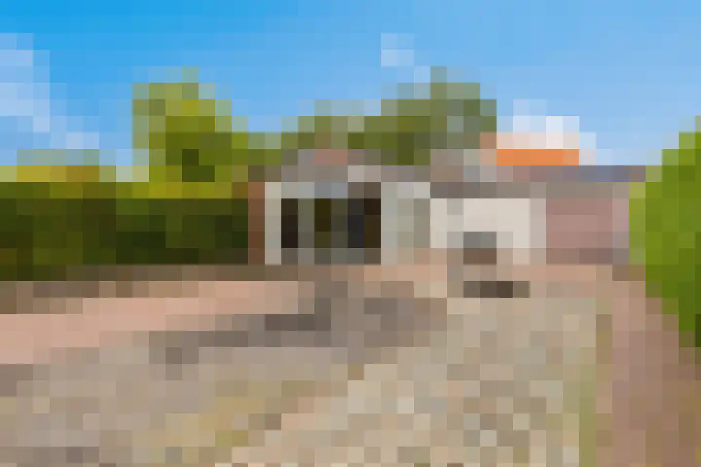 Rapenburg 1 a Vogelwaarde thumbnail 34