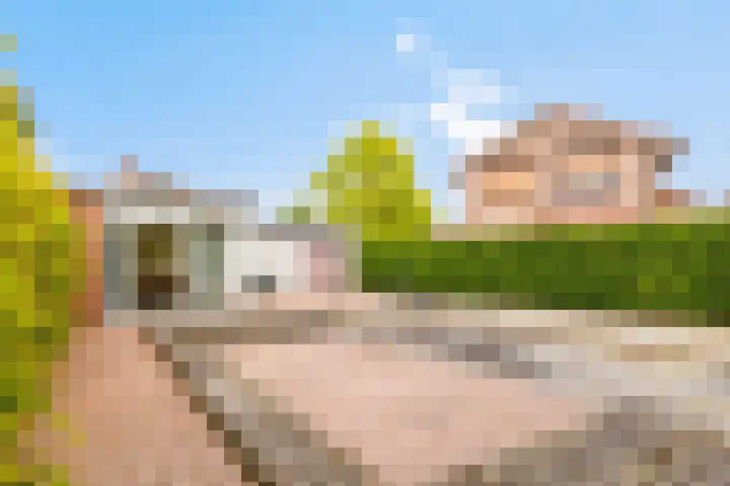 Rapenburg 1 a Vogelwaarde thumbnail 35