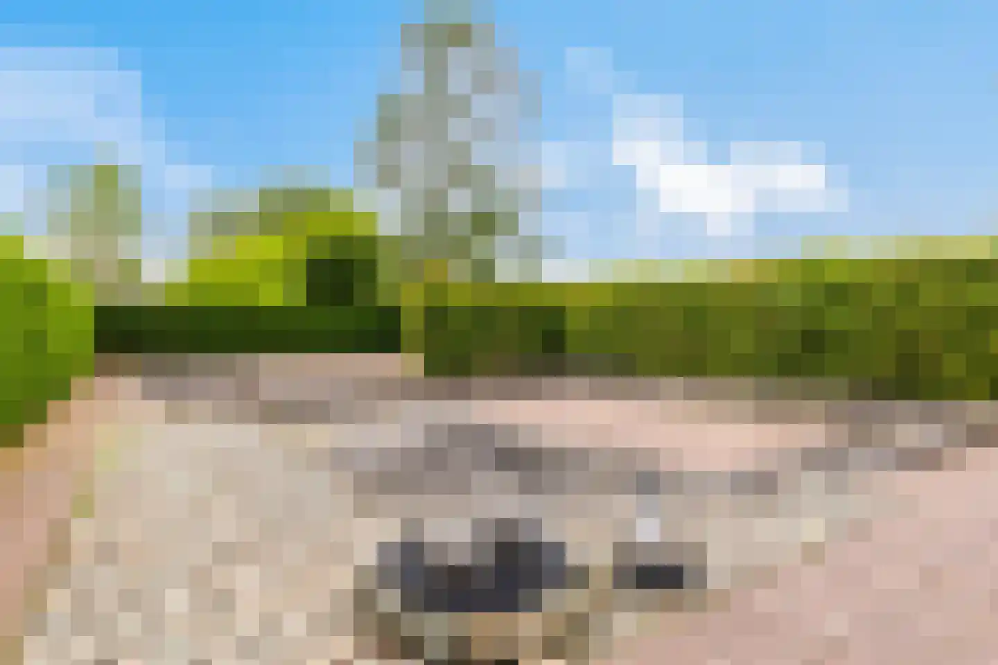 Rapenburg 1 a Vogelwaarde thumbnail 37