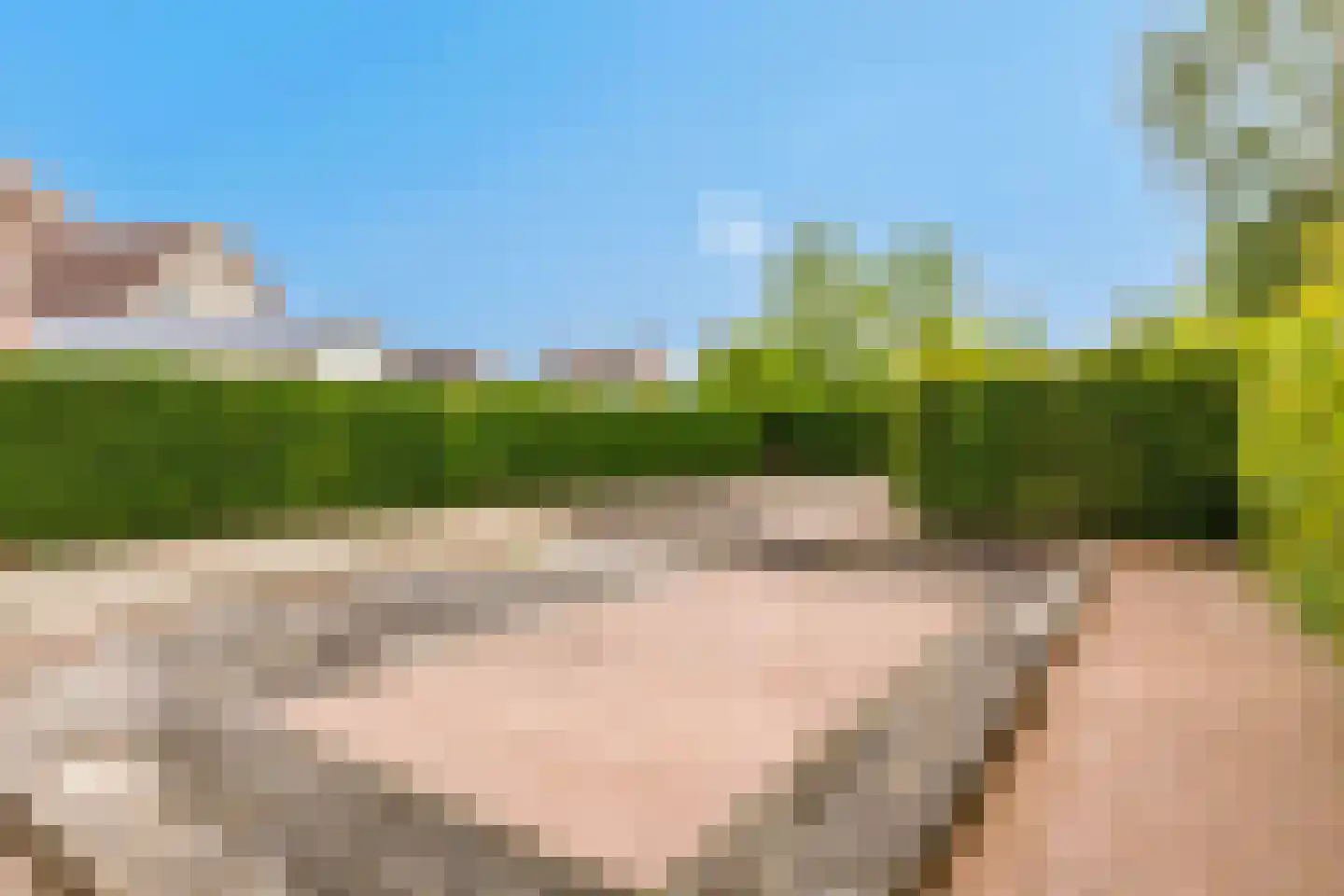 Rapenburg 1 a Vogelwaarde thumbnail 38