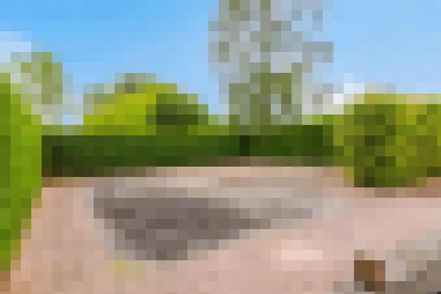 Rapenburg 1 a Vogelwaarde thumbnail 39