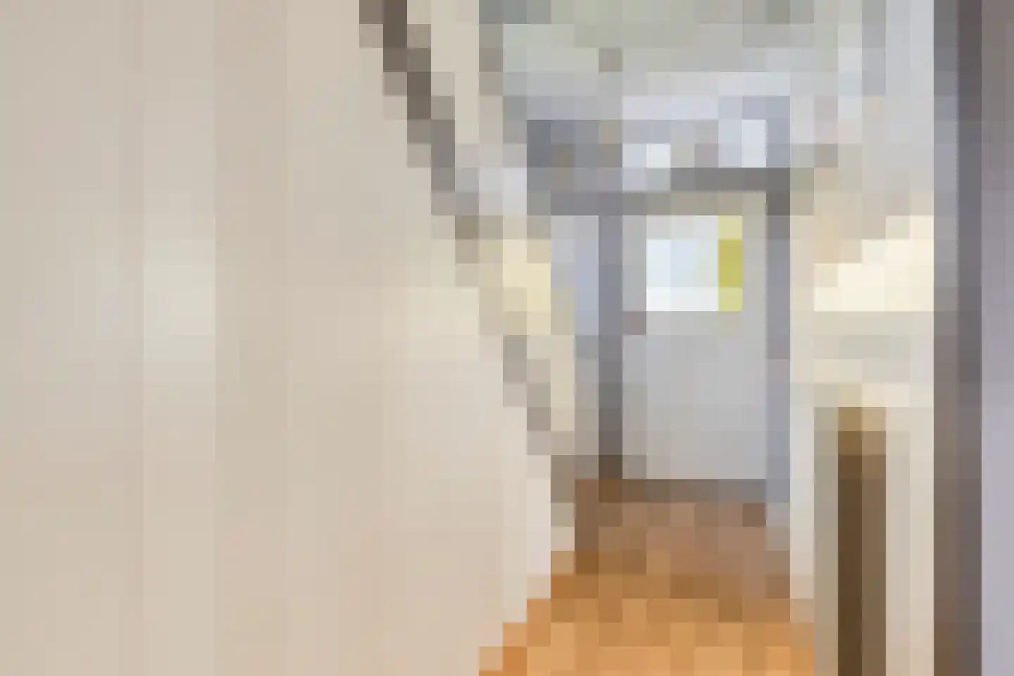 Rapenburg 1 a Vogelwaarde thumbnail 4
