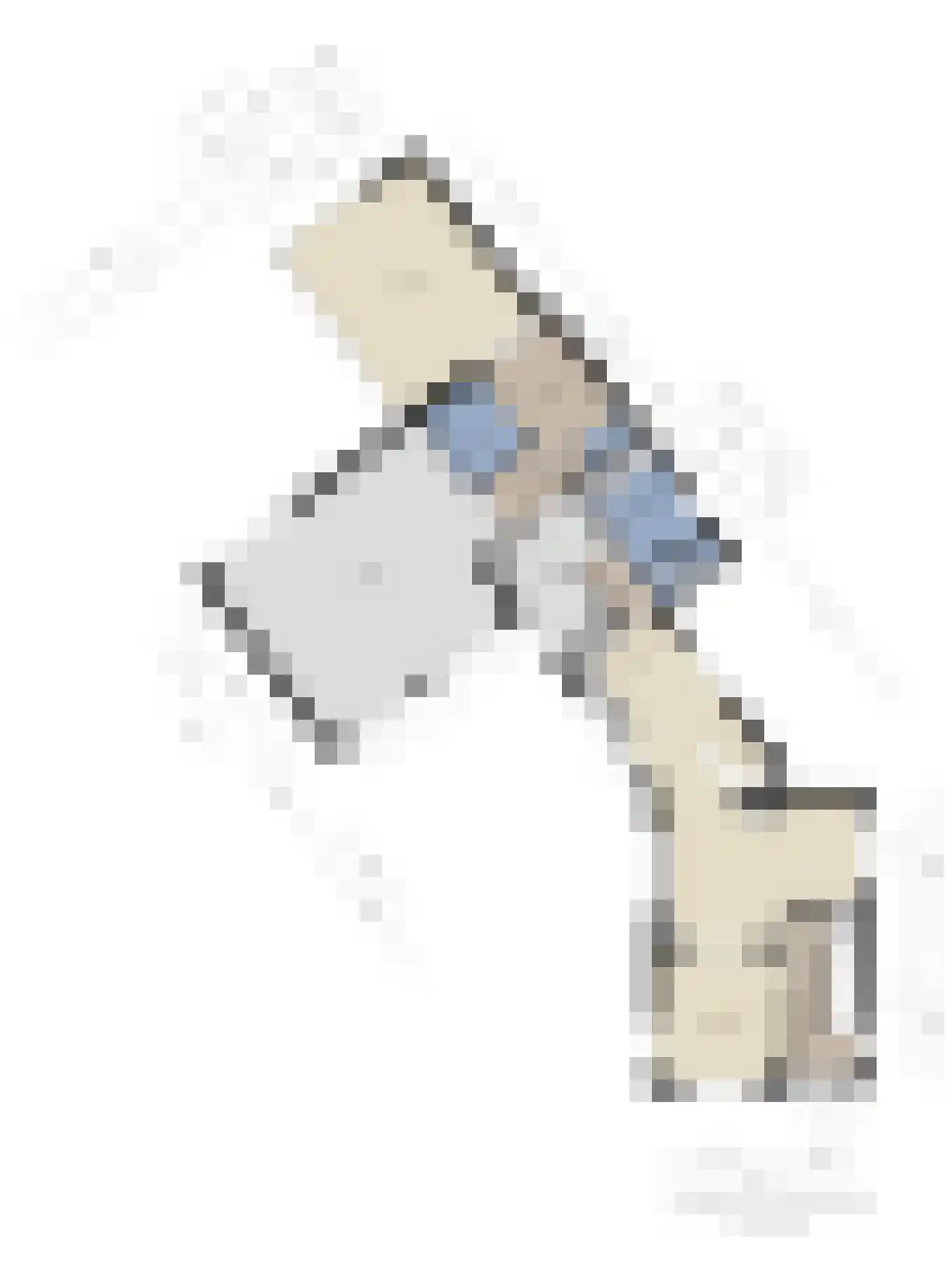 Rapenburg 1 a Vogelwaarde thumbnail 43