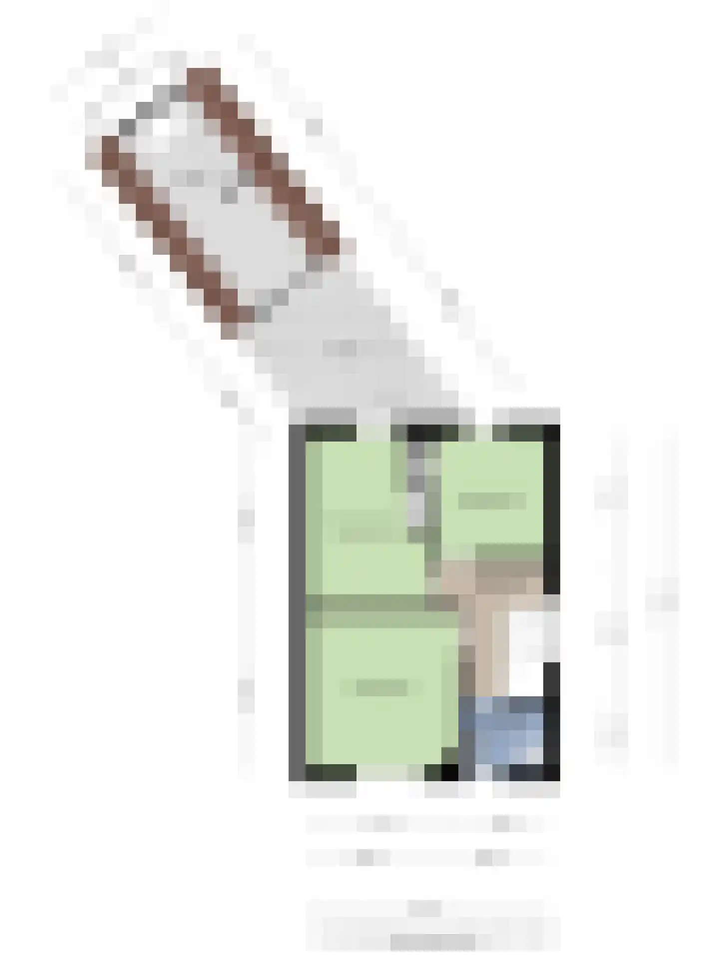 Rapenburg 1 a Vogelwaarde thumbnail 44