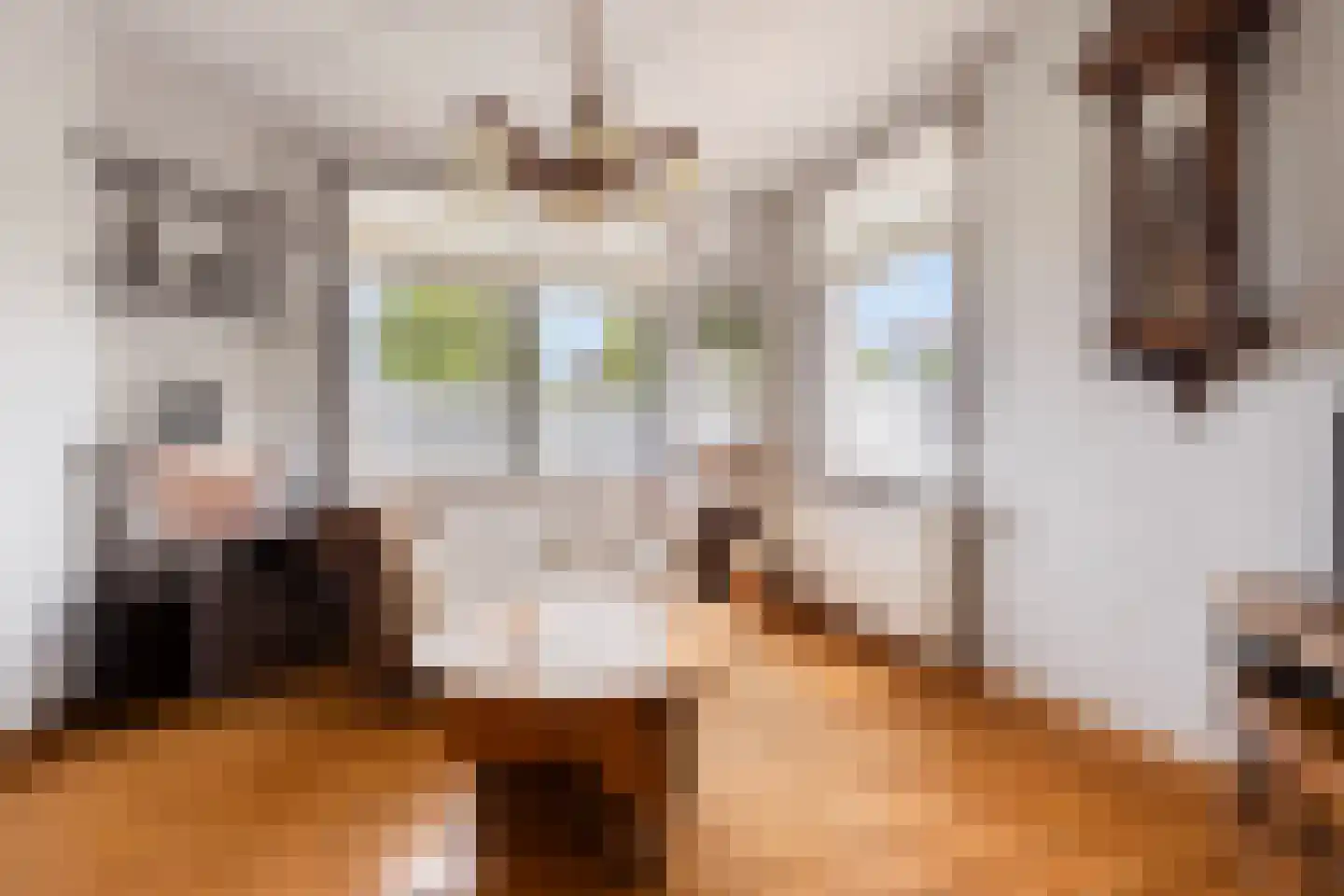 Rapenburg 1 a Vogelwaarde thumbnail 5