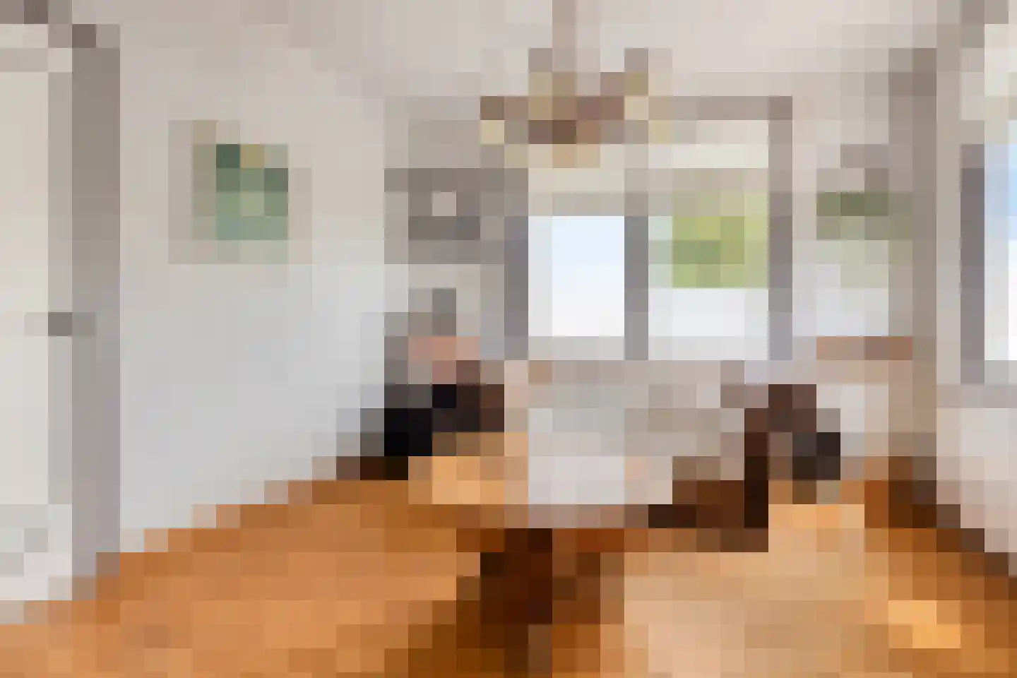 Rapenburg 1 a Vogelwaarde thumbnail 6