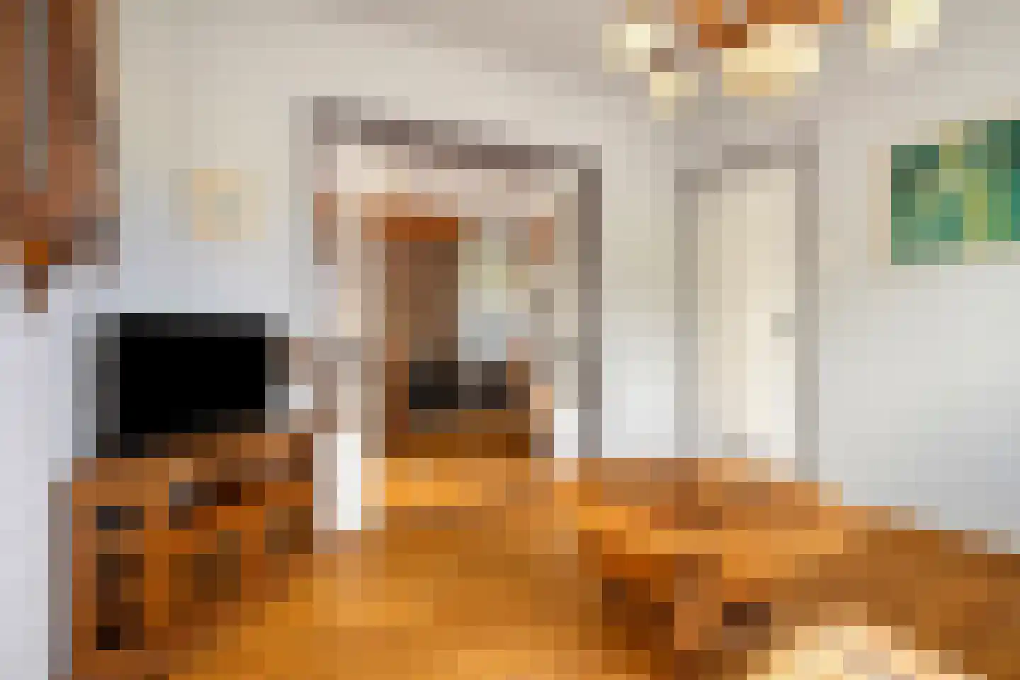 Rapenburg 1 a Vogelwaarde thumbnail 8
