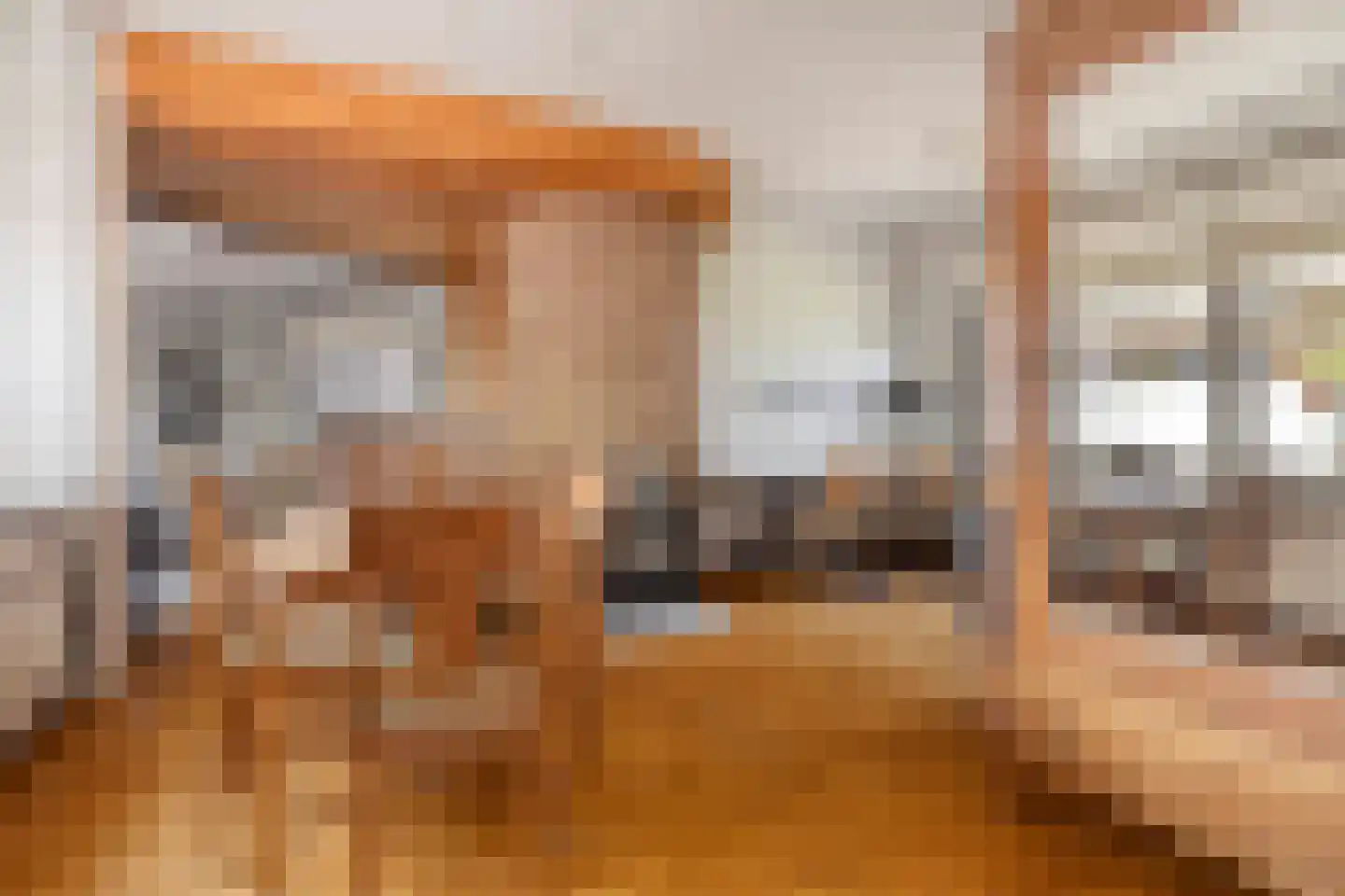 Rapenburg 1 a Vogelwaarde thumbnail 9
