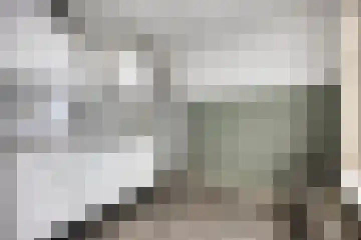 Rapenburg 101 Leiden thumbnail 11