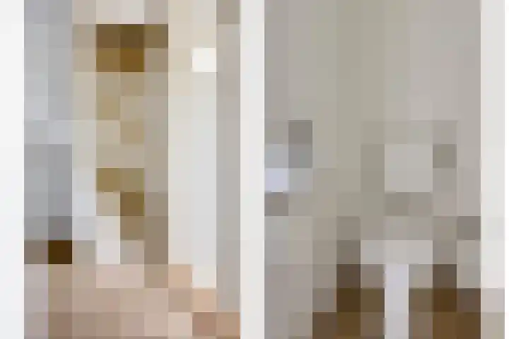 Rapenburg 101 Leiden thumbnail 13