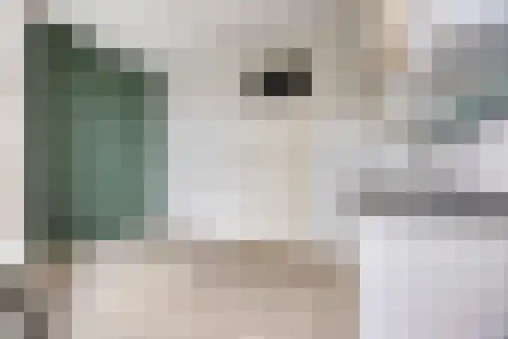 Rapenburg 101 Leiden thumbnail 17