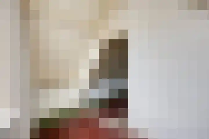 Rapenburg 101 Leiden thumbnail 27