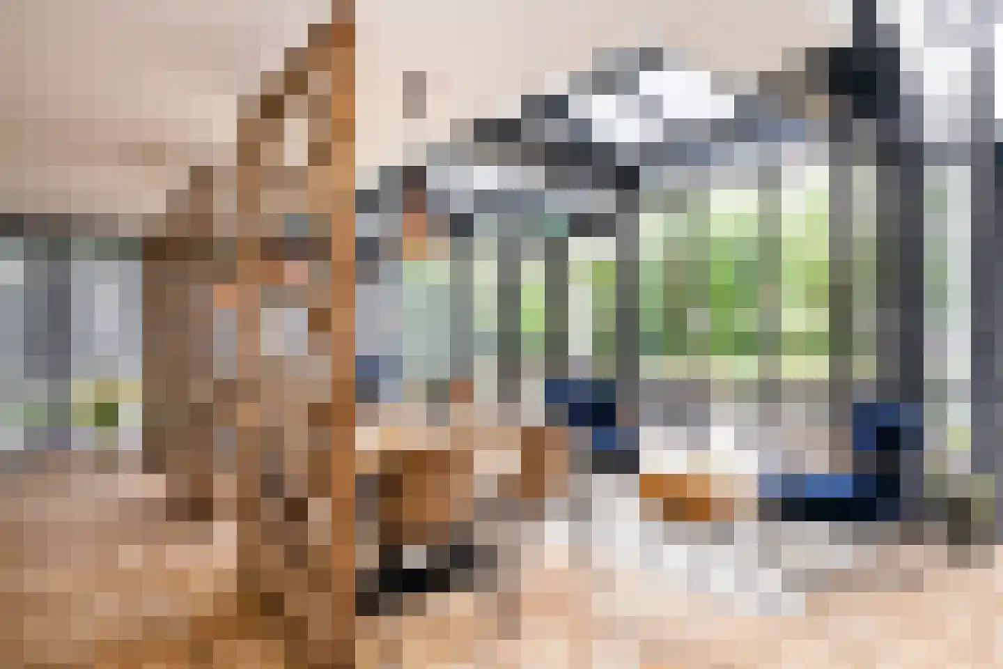Rapenburg 101 Leiden thumbnail 28