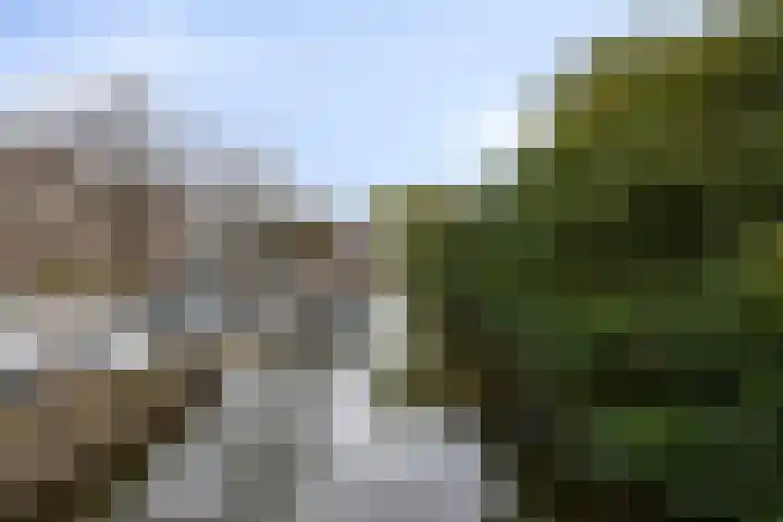 Rapenburg 101 Leiden thumbnail 34