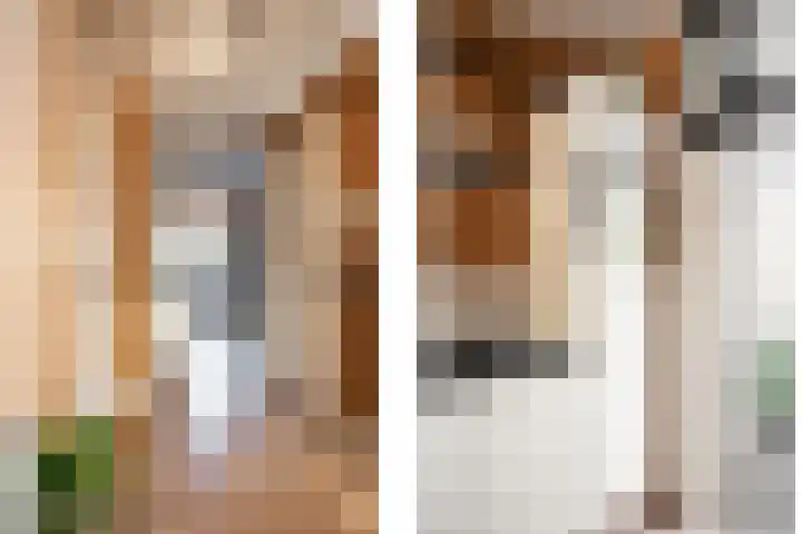 Rapenburg 101 Leiden thumbnail 39