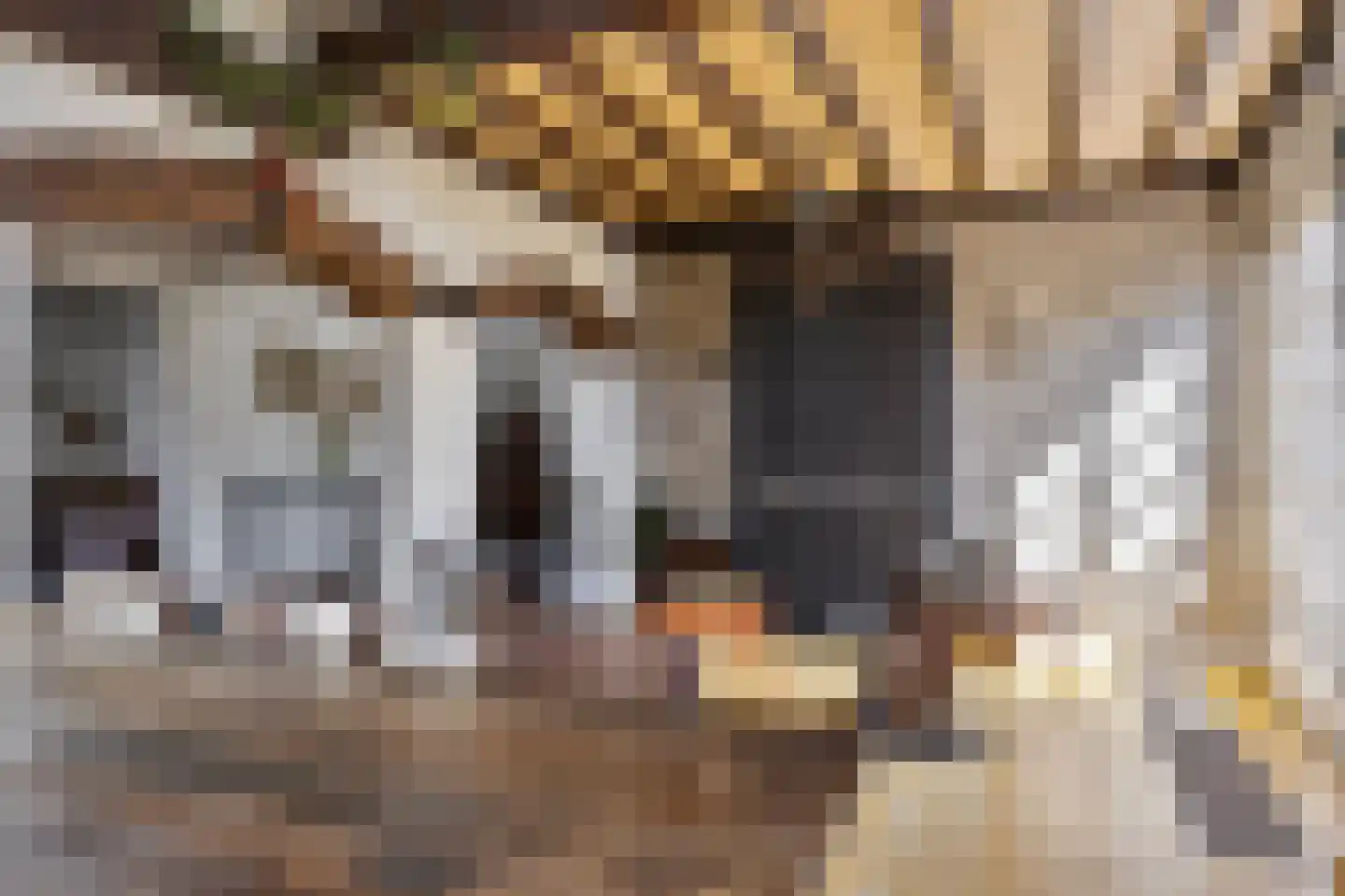 Rapenburg 101 Leiden thumbnail 42
