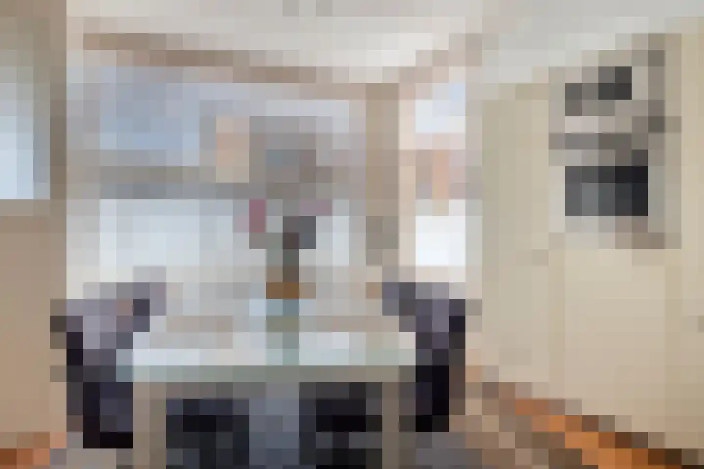 Rapenburg 13 Vogelwaarde thumbnail 10