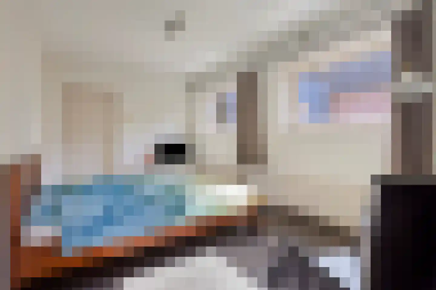 Rapenburg 13 Vogelwaarde thumbnail 12