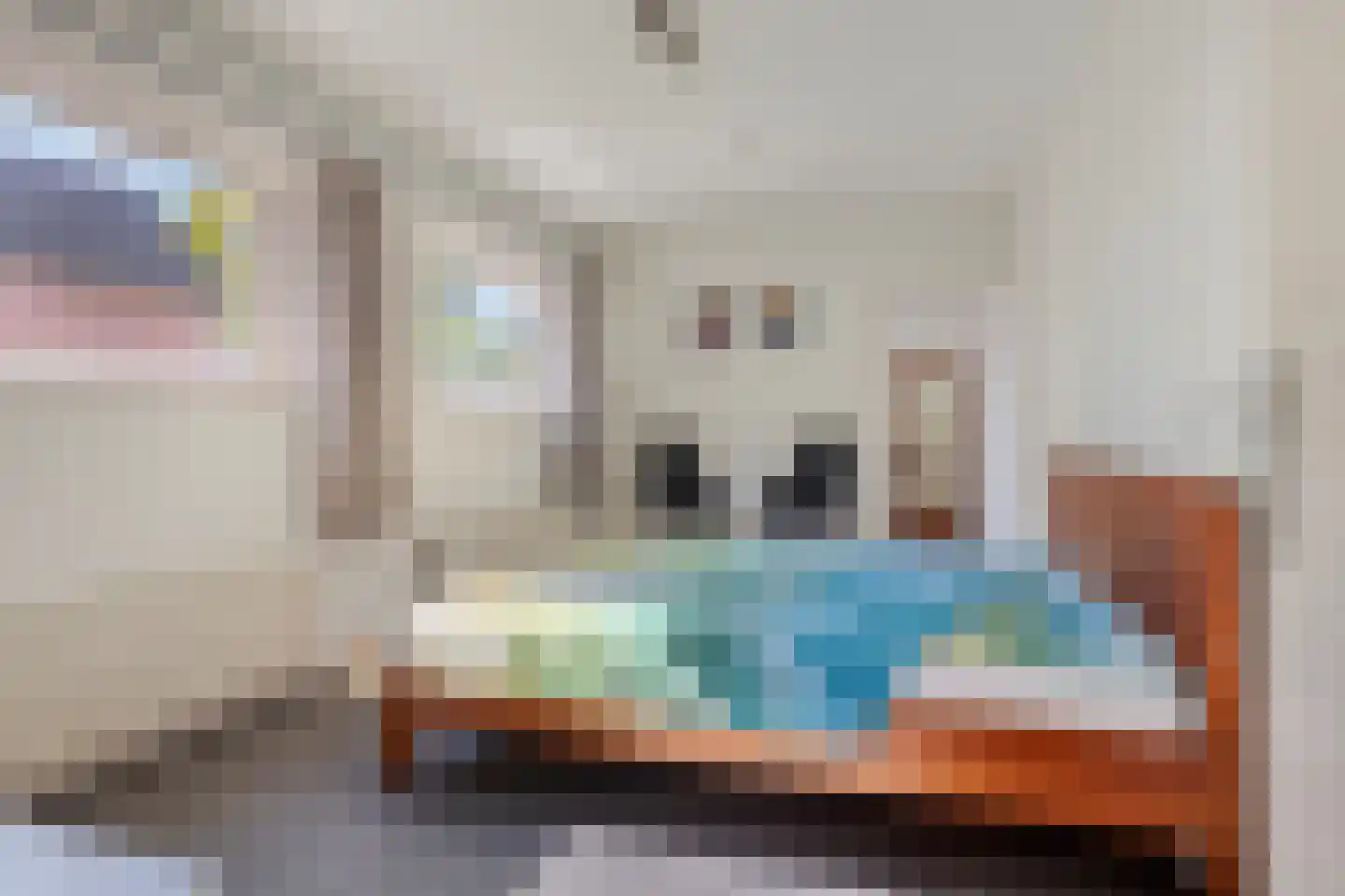Rapenburg 13 Vogelwaarde thumbnail 13
