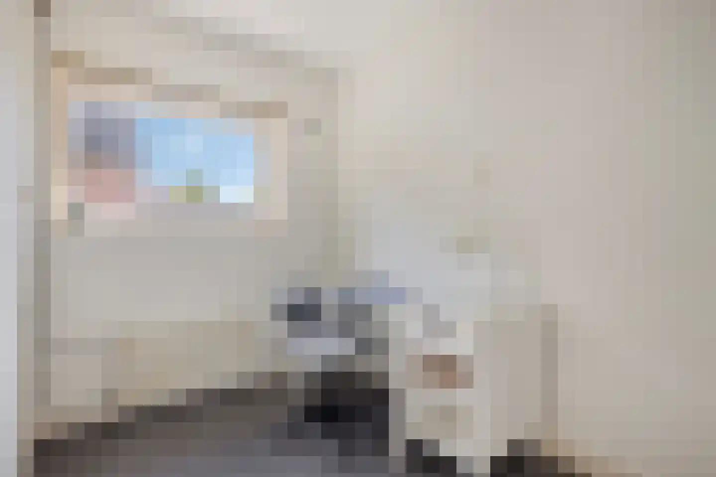 Rapenburg 13 Vogelwaarde thumbnail 14