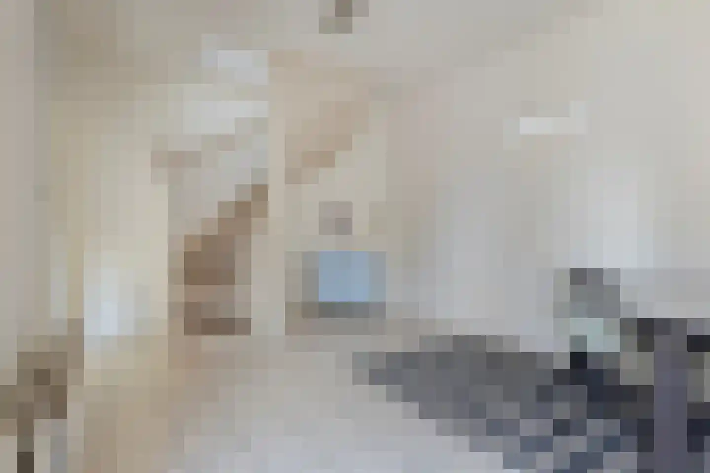 Rapenburg 13 Vogelwaarde thumbnail 16