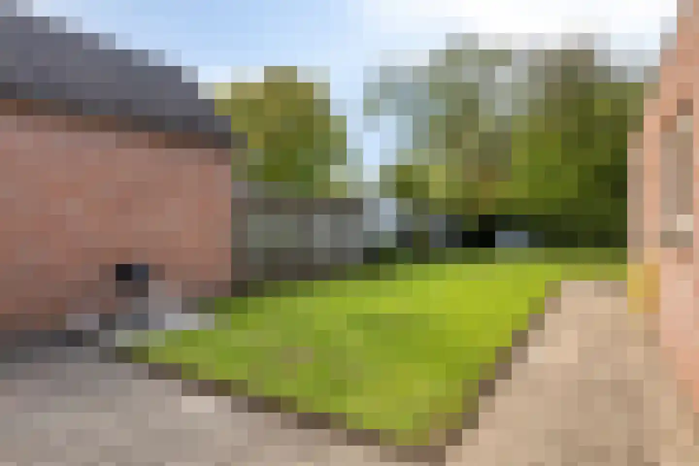 Rapenburg 13 Vogelwaarde thumbnail 26