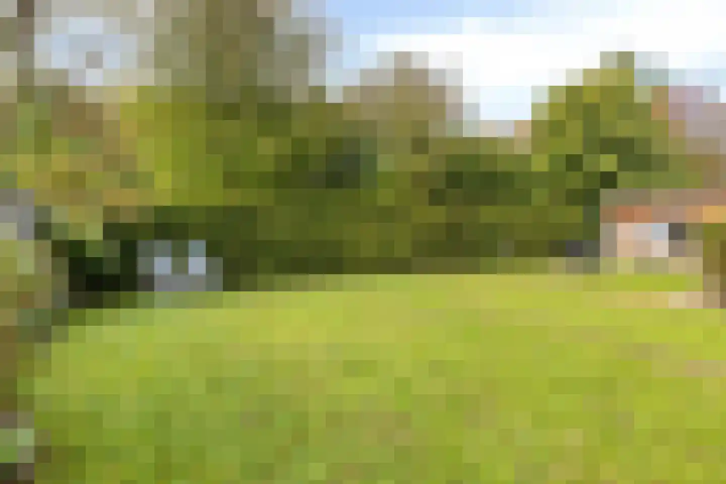 Rapenburg 13 Vogelwaarde thumbnail 29