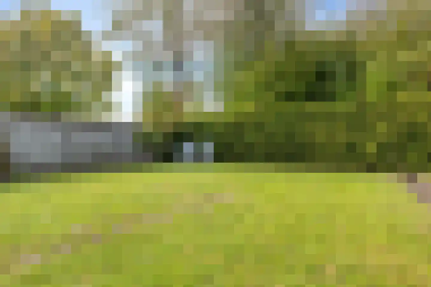 Rapenburg 13 Vogelwaarde thumbnail 30
