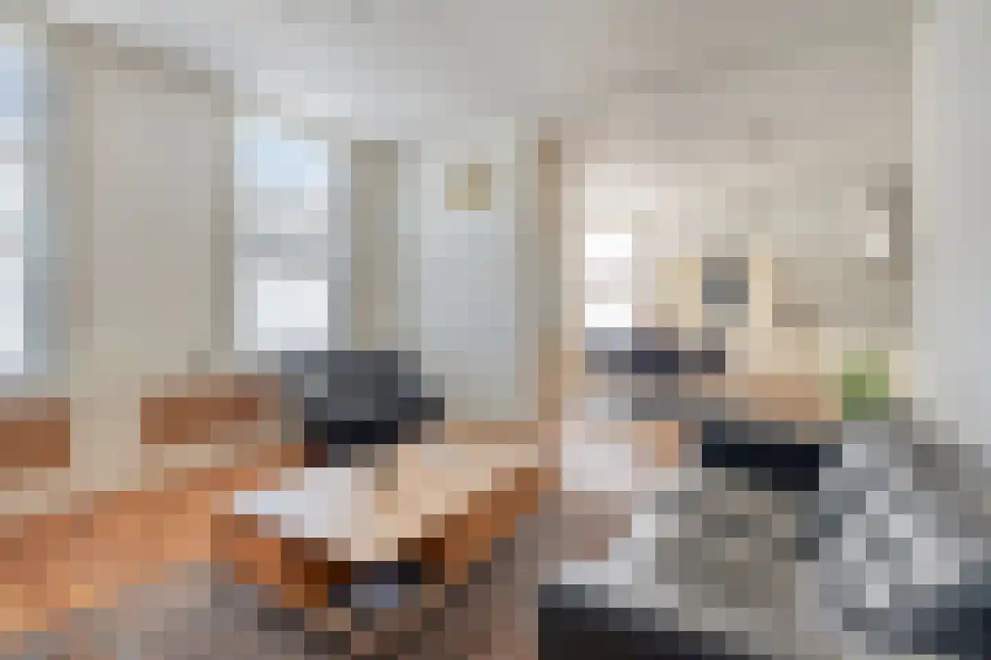 Rapenburg 13 Vogelwaarde thumbnail 7