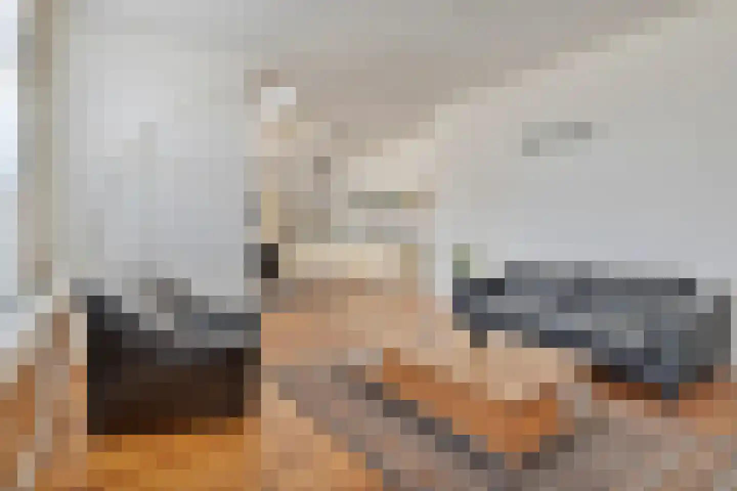 Rapenburg 13 Vogelwaarde thumbnail 8