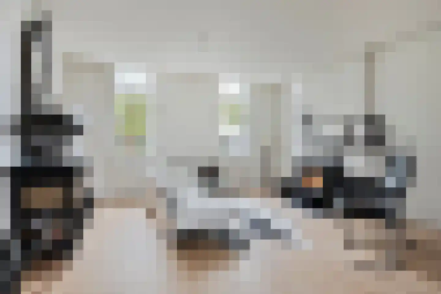 Rapenburg 143 Vogelwaarde thumbnail 13