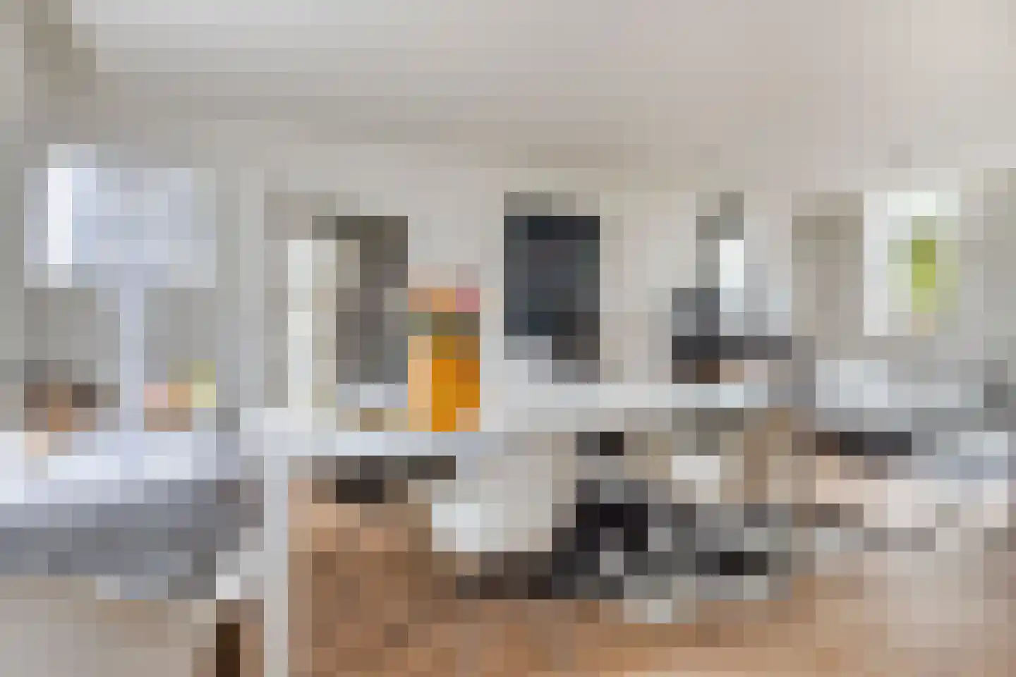 Rapenburg 143 Vogelwaarde thumbnail 21