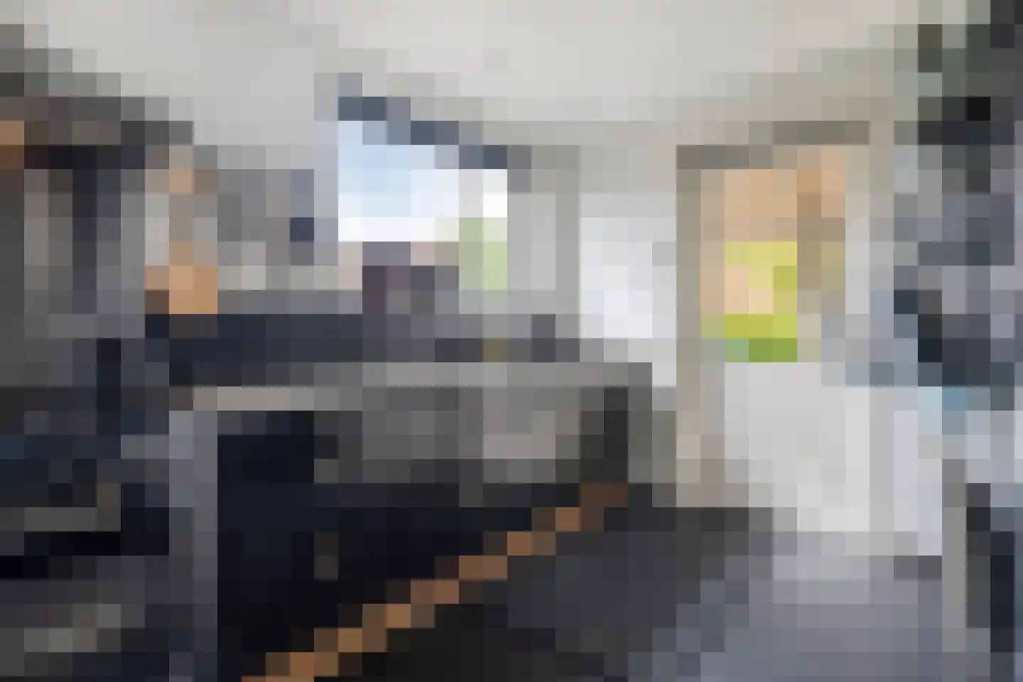 Rapenburg 143 Vogelwaarde thumbnail 26