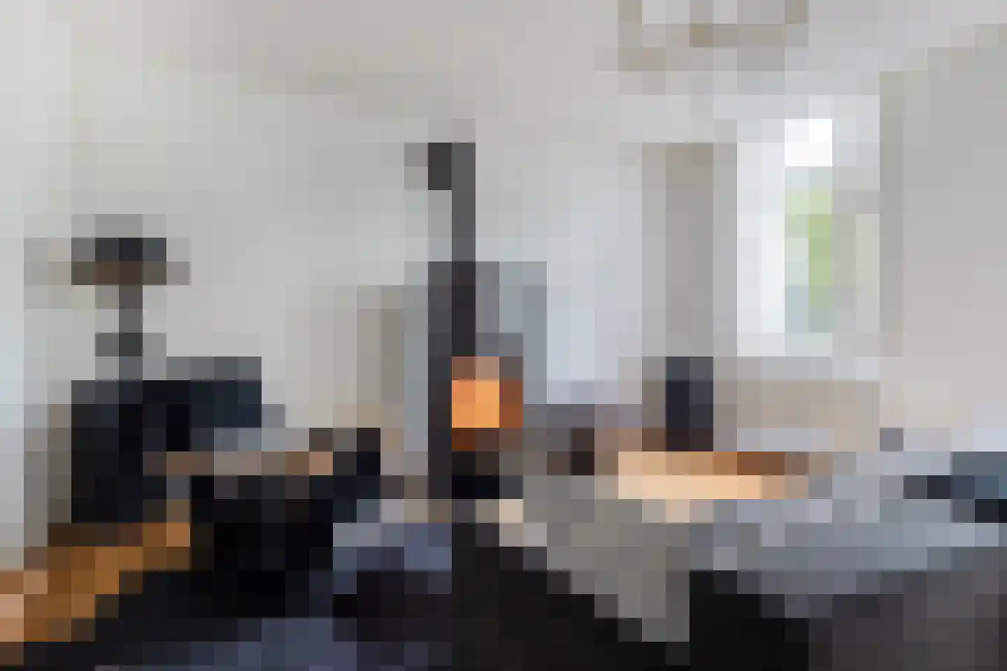 Rapenburg 143 Vogelwaarde thumbnail 29