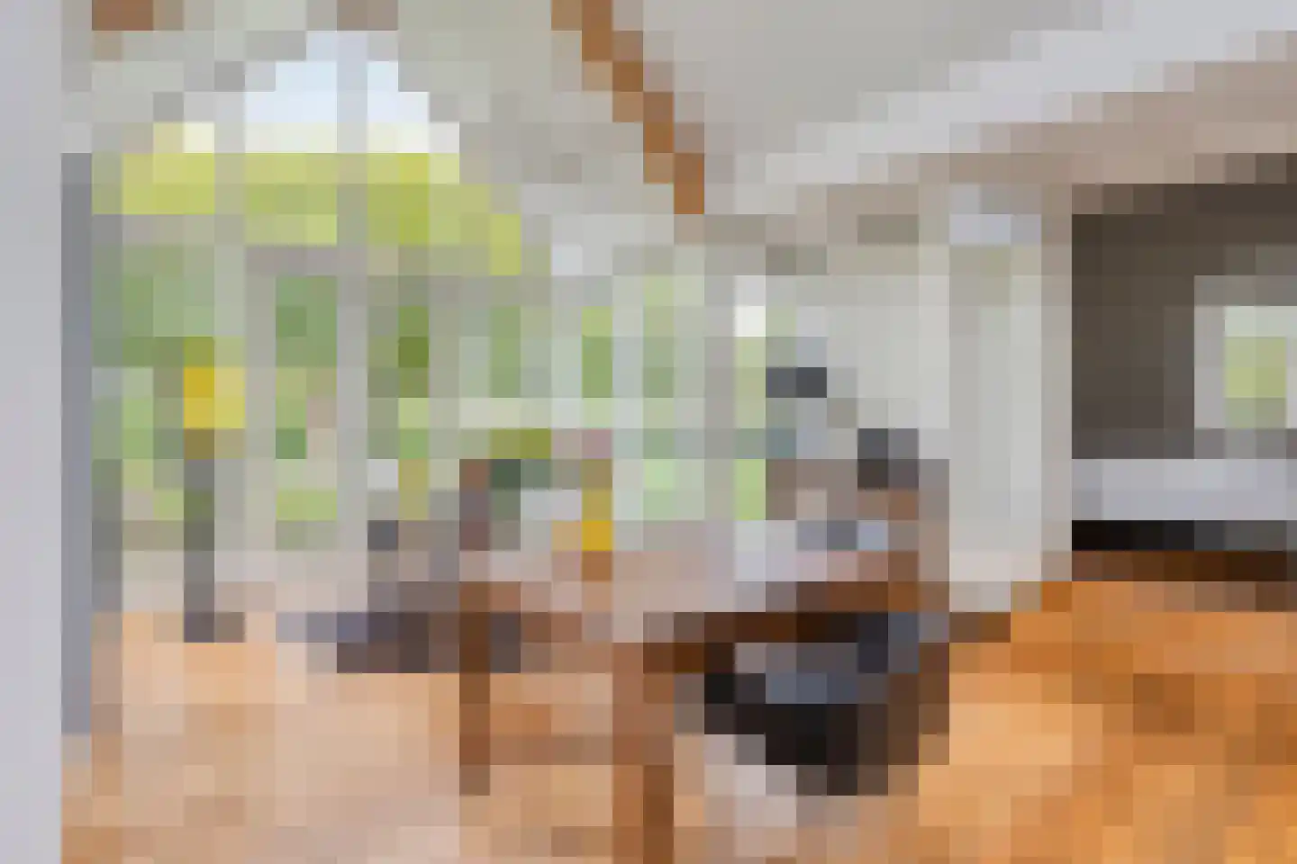 Rapenburg 143 Vogelwaarde thumbnail 38