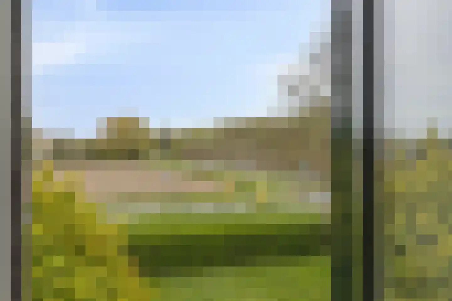 Rapenburg 143 Vogelwaarde thumbnail 57