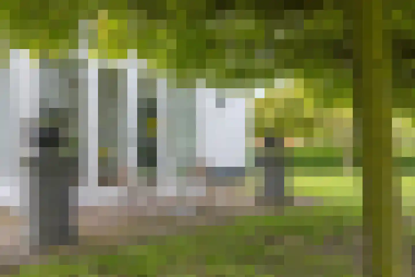 Rapenburg 143 Vogelwaarde thumbnail 60