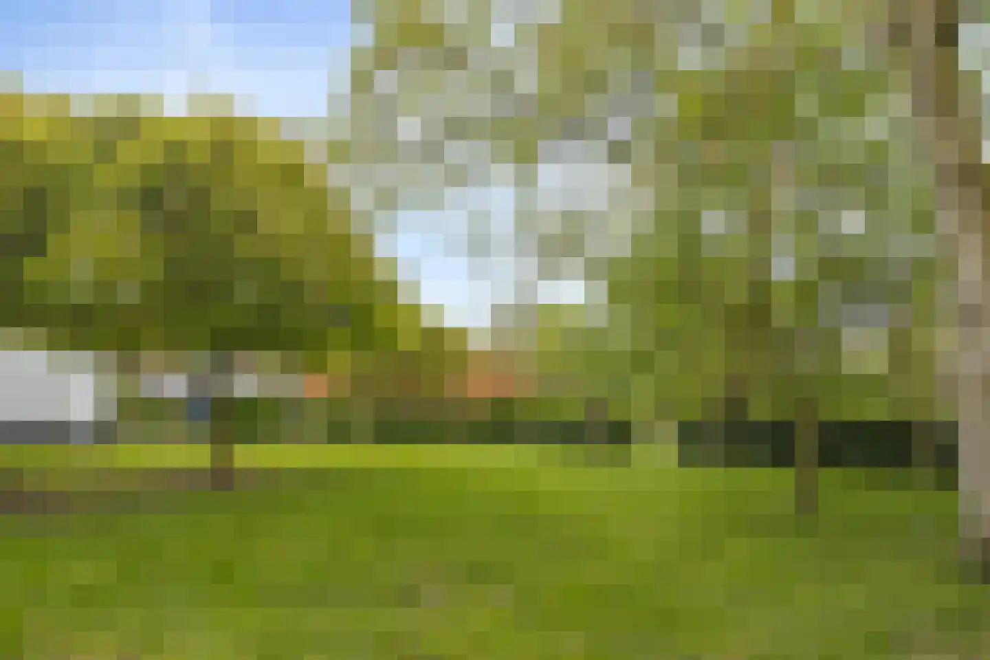 Rapenburg 143 Vogelwaarde thumbnail 62