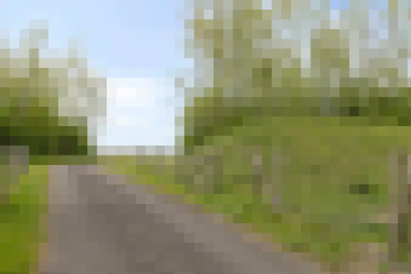 Rapenburg 143 Vogelwaarde thumbnail 69