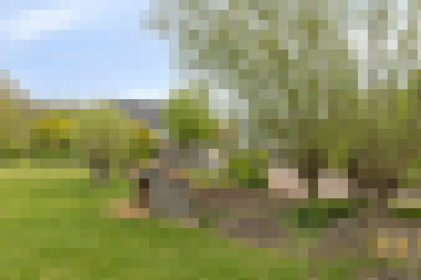 Rapenburg 143 Vogelwaarde thumbnail 70