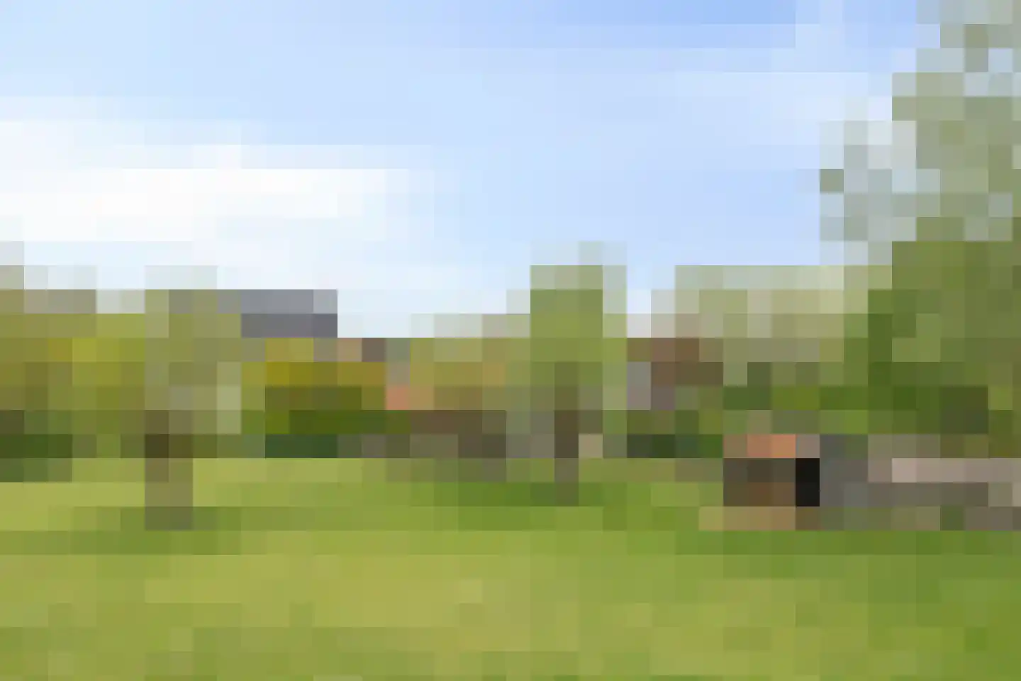 Rapenburg 143 Vogelwaarde thumbnail 71
