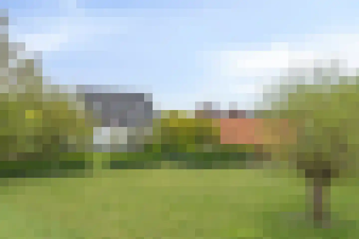 Rapenburg 143 Vogelwaarde thumbnail 72